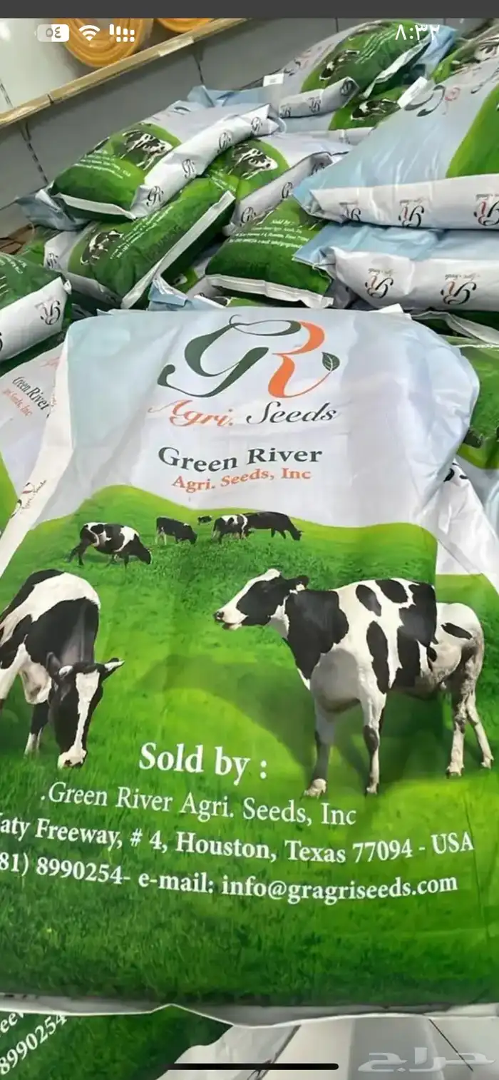 برسيم امريكي واسترالي للبيع 0