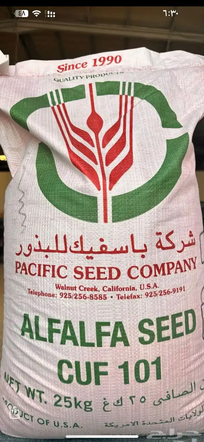 برسيم امريكي واسترالي للبيع 1