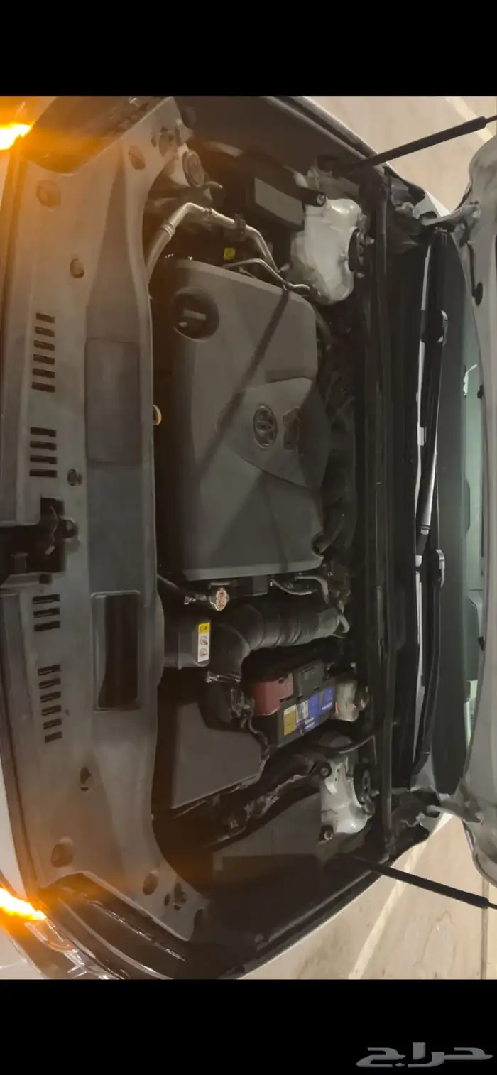 اللبيع افالون تورنق2020 44