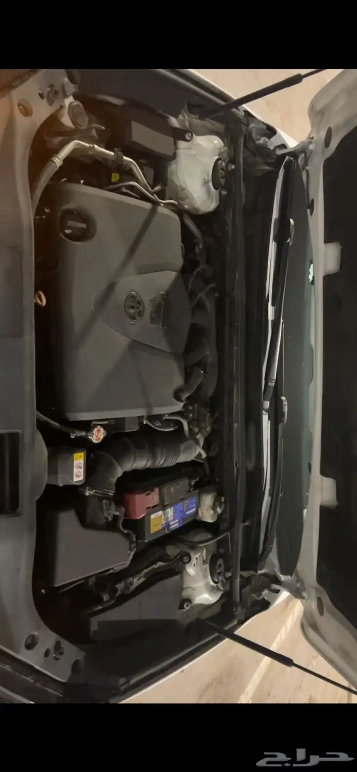 اللبيع افالون تورنق2020 43