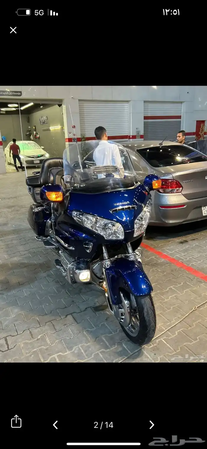 قولد وينق Abs 1