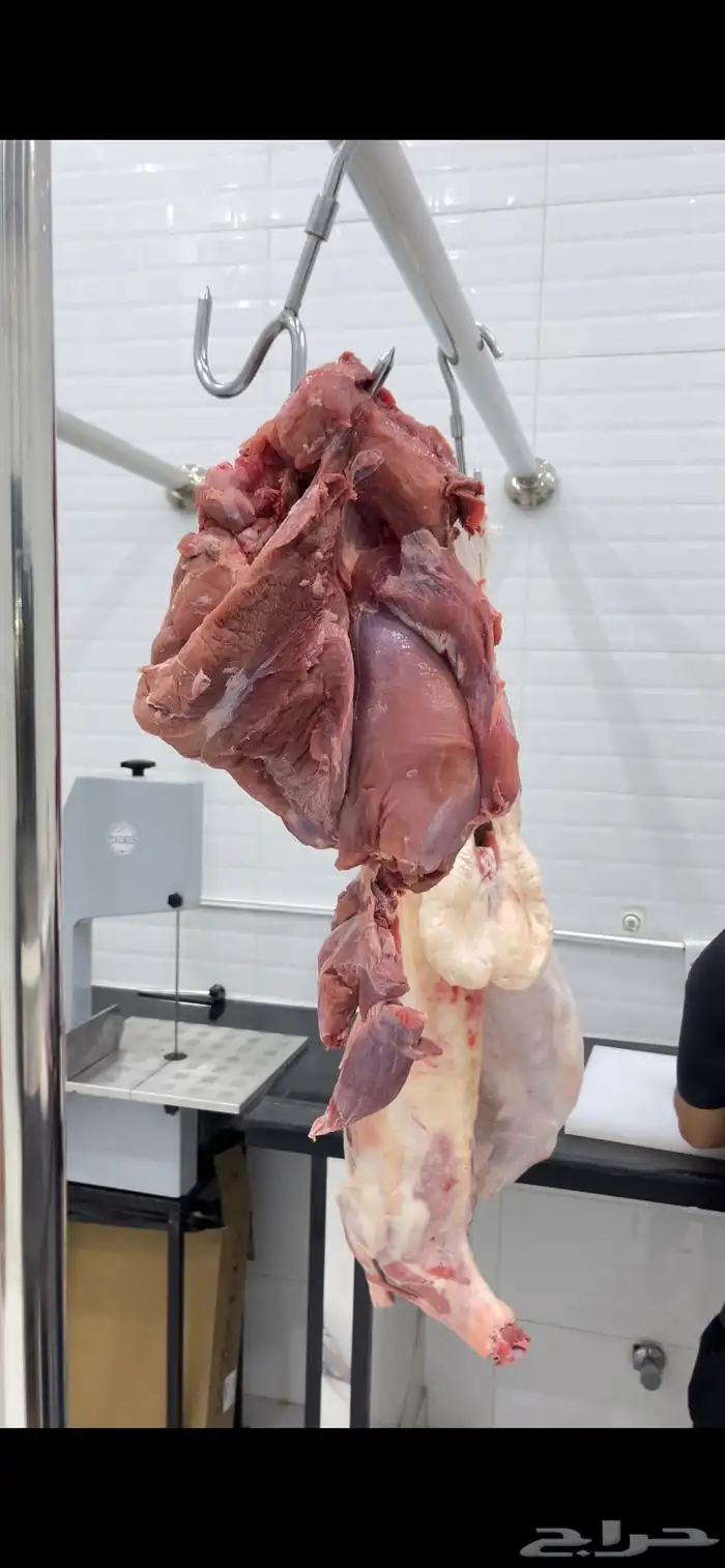لحوم طازجة. غنم. خروف كشميري. عجل. مفروم. 5