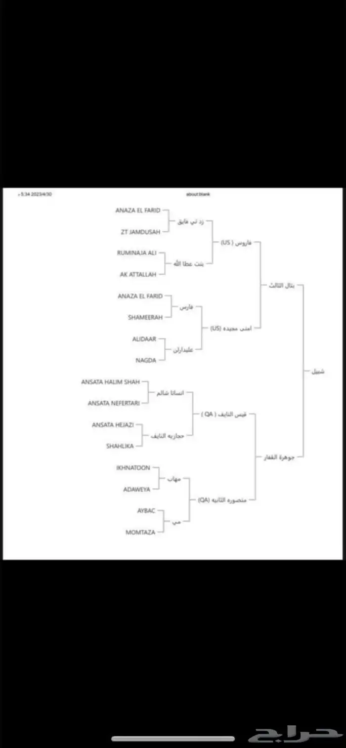 حصان للبيع 4