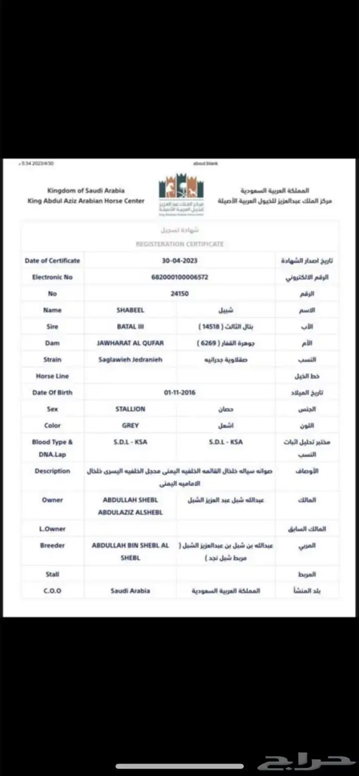 حصان للبيع 3