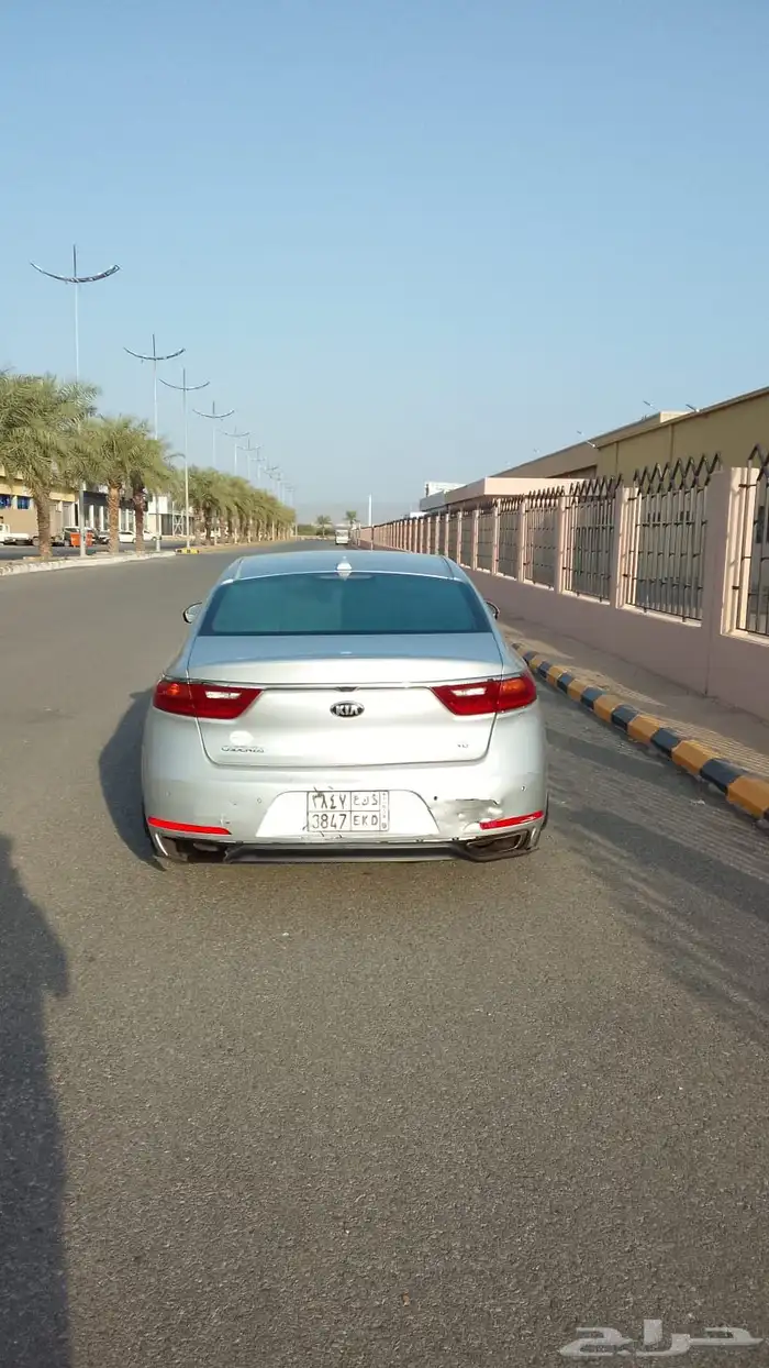 كادينزا 2020 2