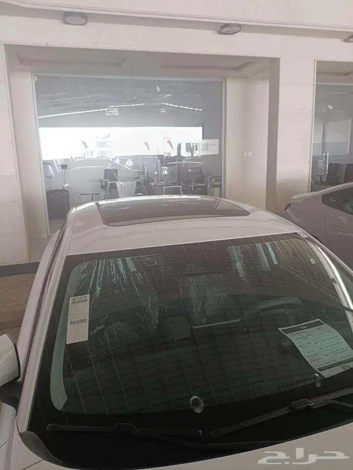 شانجان ايدو بلس ليمتد 2025 2