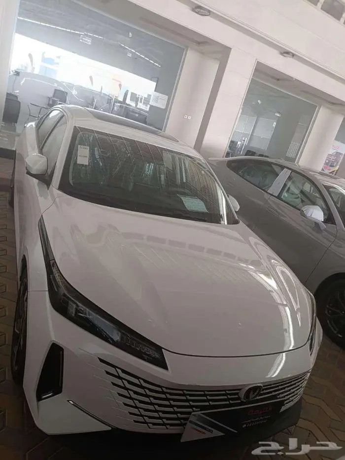 شانجان ايدو بلس ليمتد 2025 0