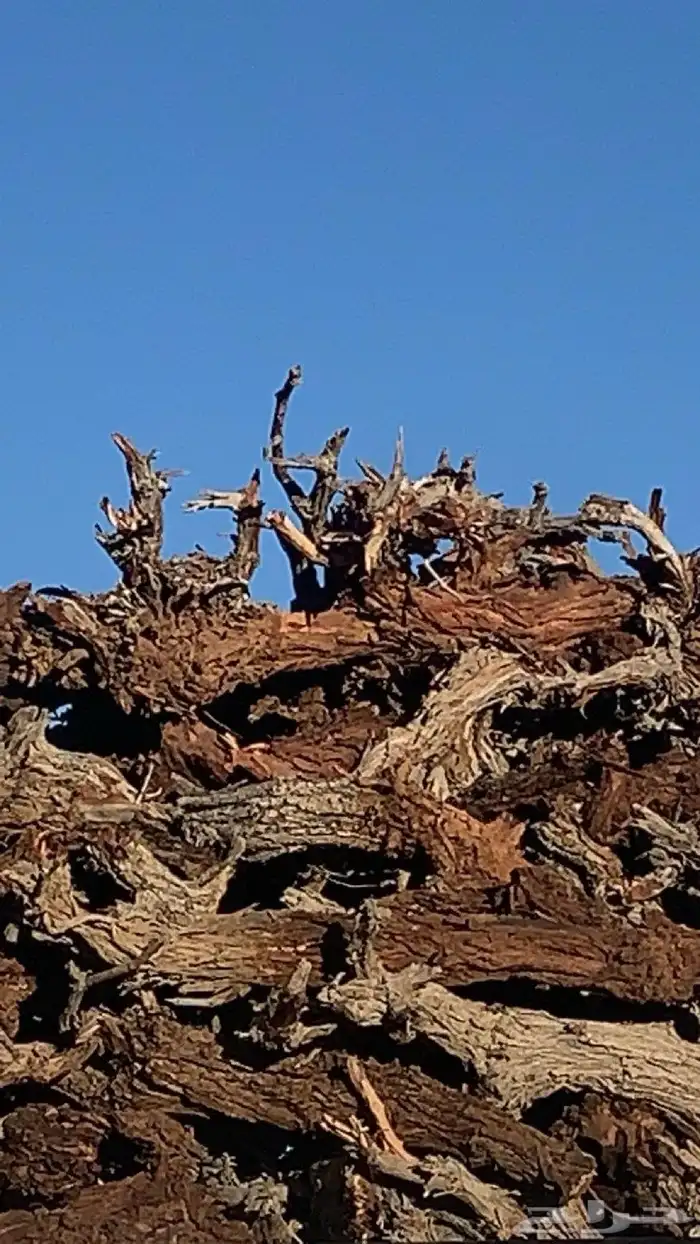 السلام عليكم.دفيت حطب 0