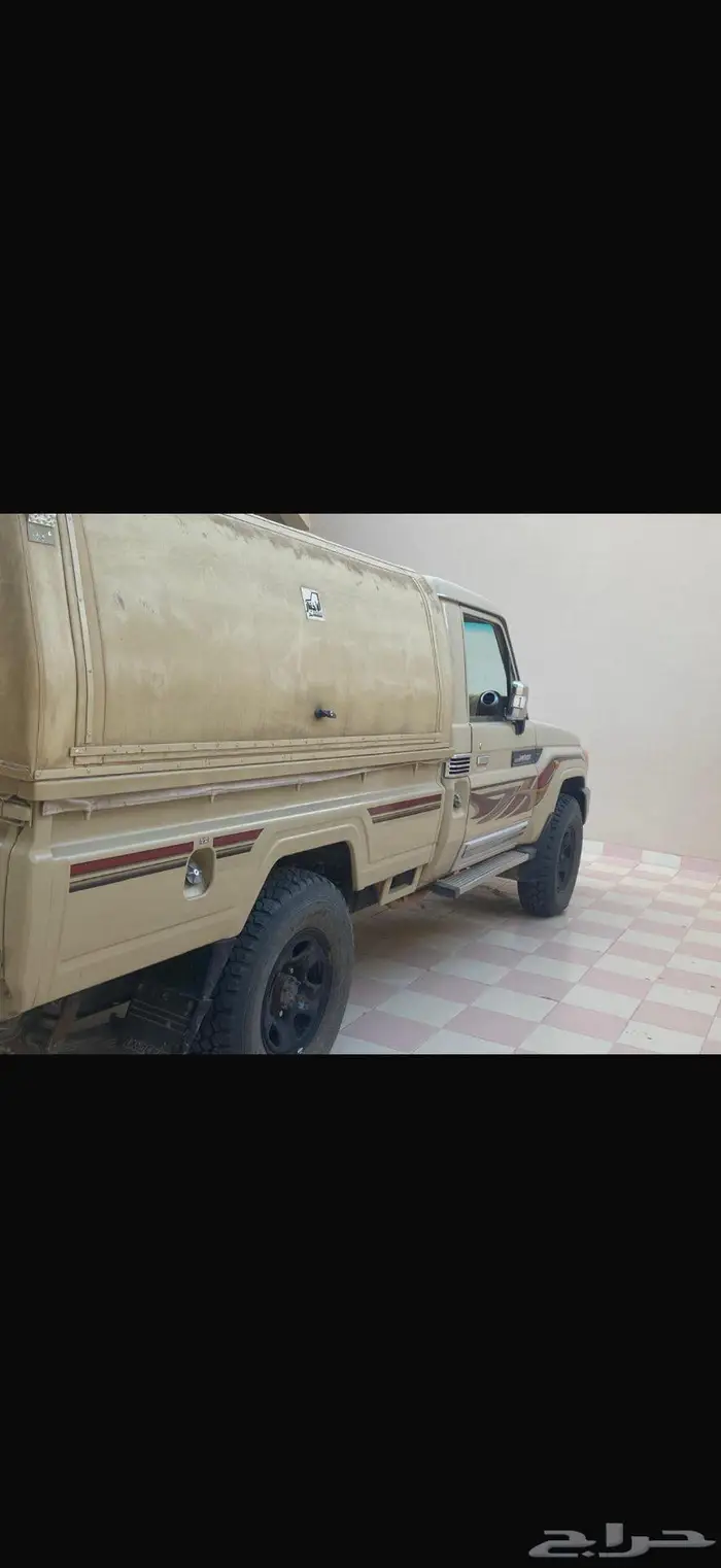 شاص نظيف تيماء 3