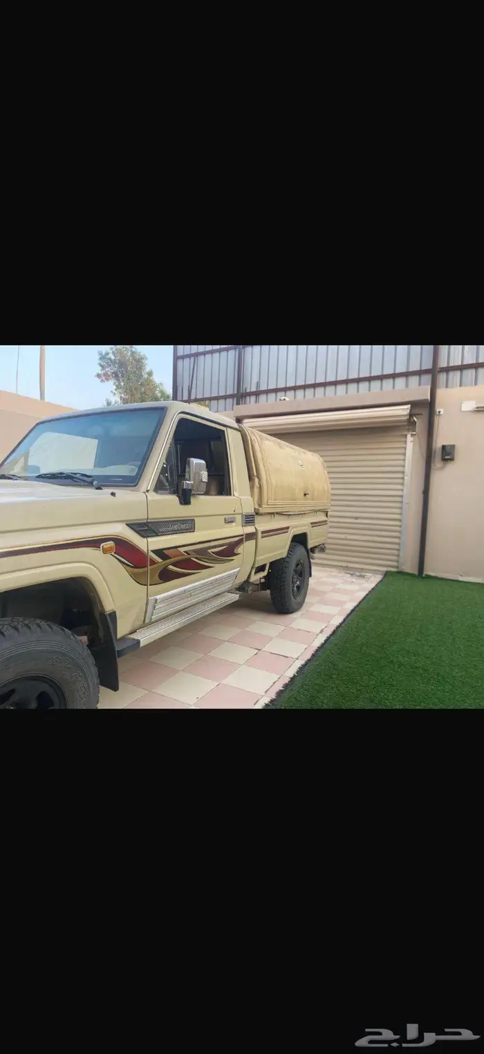 شاص نظيف تيماء 1