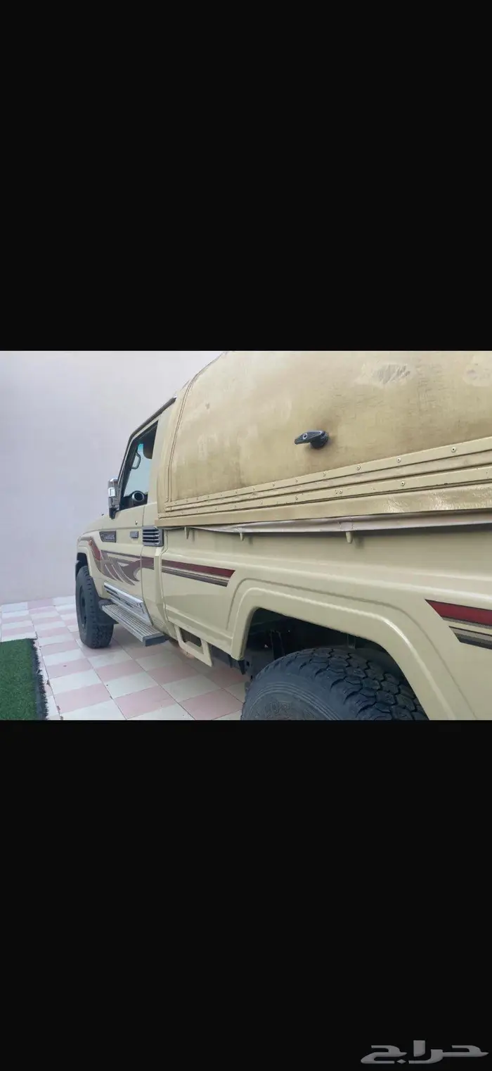 شاص نظيف تيماء 0