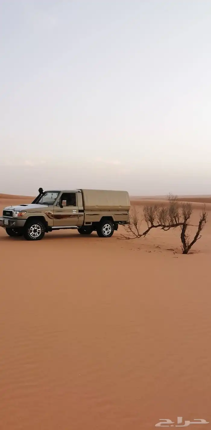 شاص ديزل 2019 0