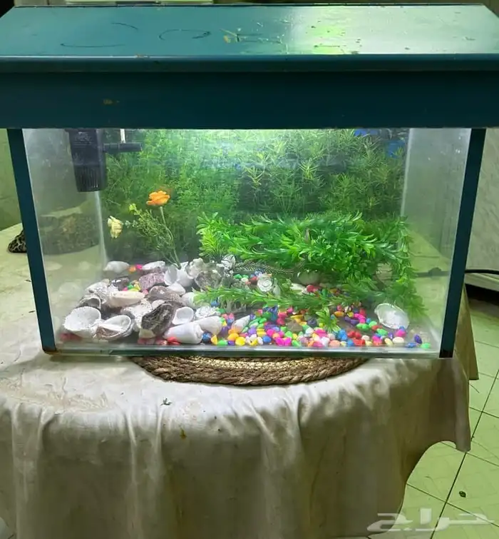 سرير هزاز ومكوات بخاروحوض سمك وقفص كبير 2