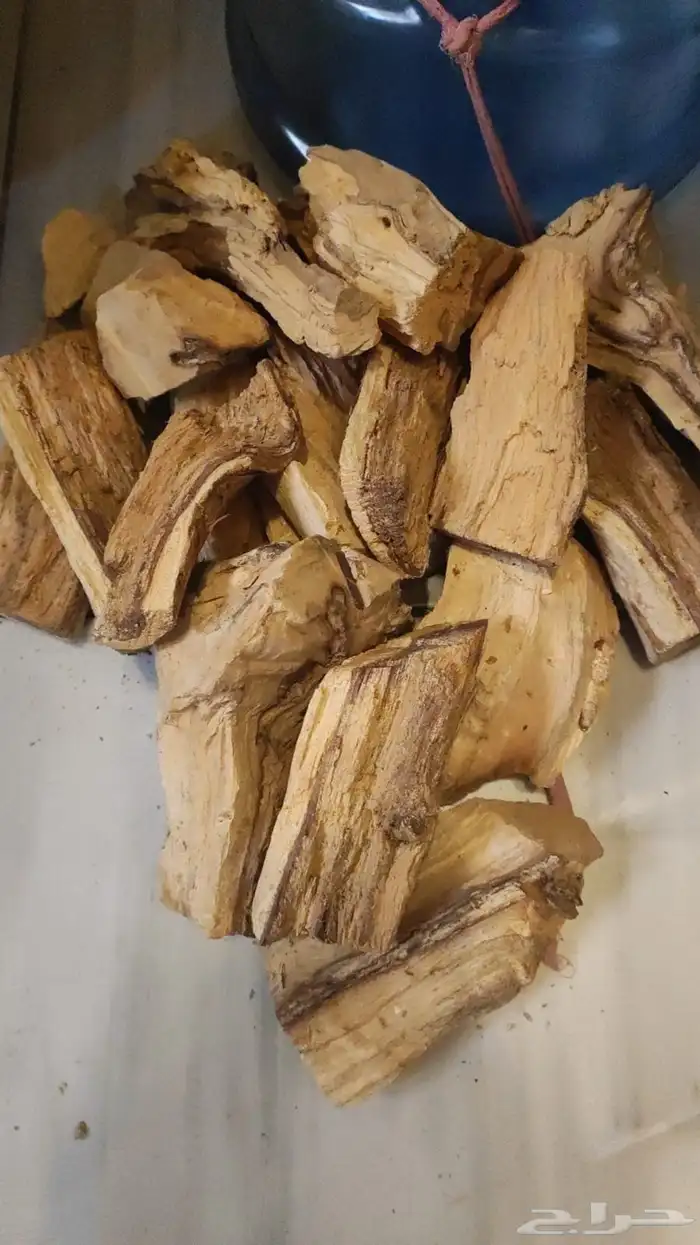 حطب طلح سوداني والشاف 3