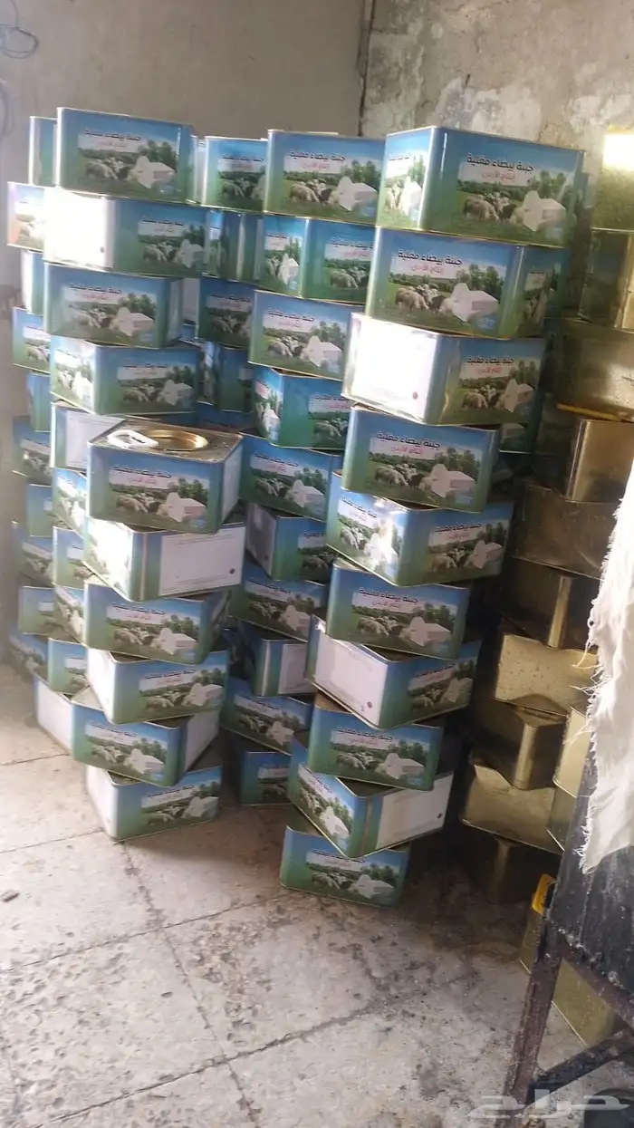 جبنه عرب مقليه 1