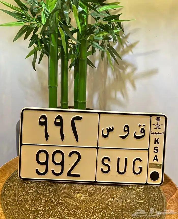 للبيع لوحة ق و س معنى نادر 1