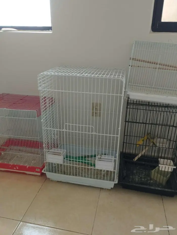 اقفاص نظيفه 0