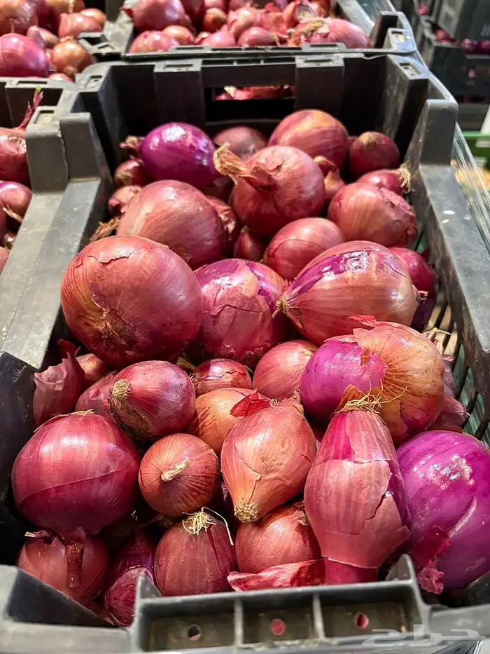 للبيع بصل أحمر طازج   جودة متوسطة 2