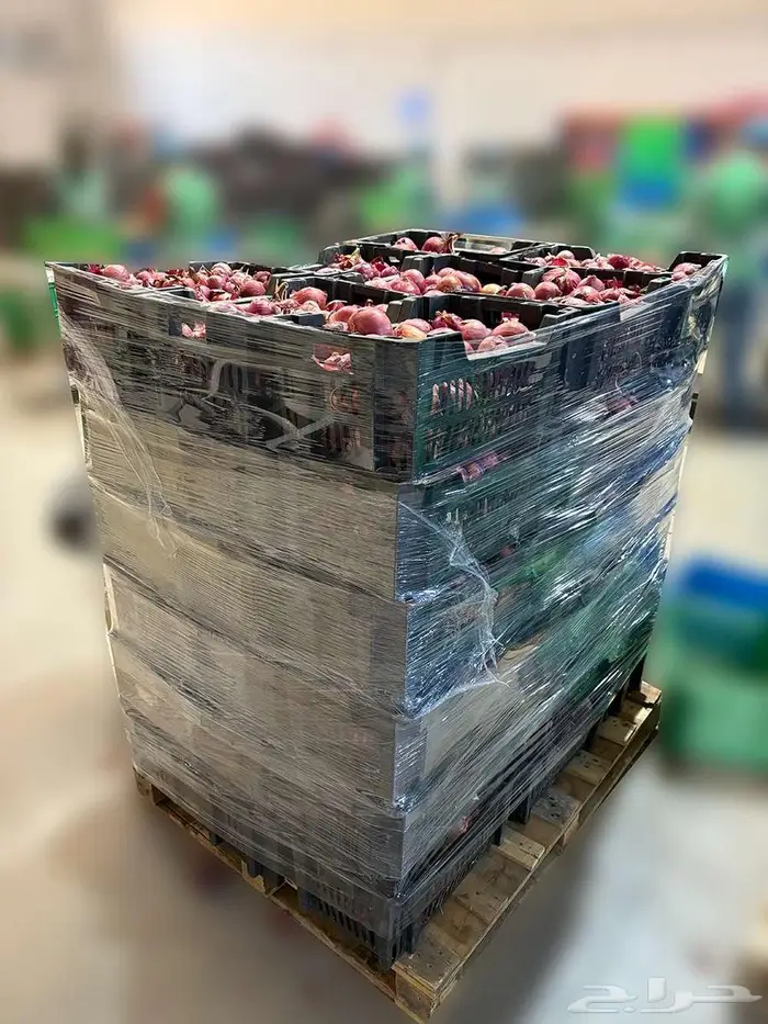 للبيع بصل أحمر طازج   جودة متوسطة 0