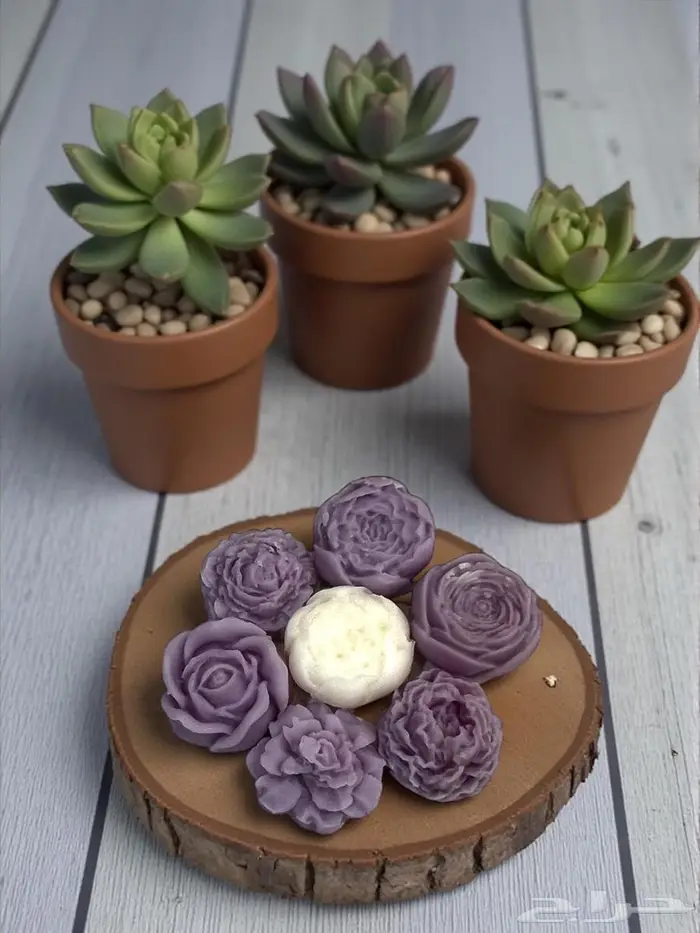 شموع عطريه وفواحات كونكريت 20