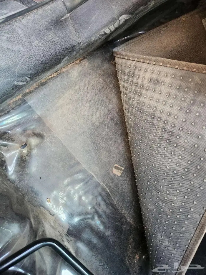 سنتافي 2014 10