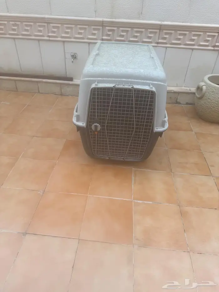 بيت كلاب متنقل 3