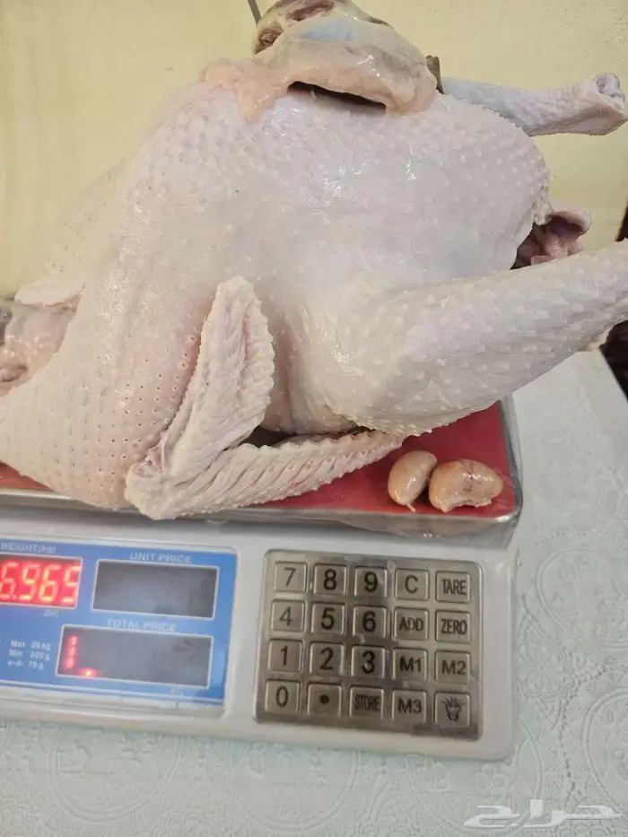 ديك رومي ذبح طازج 1