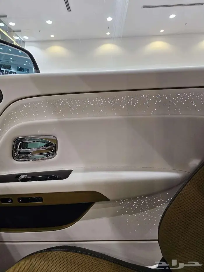 رولز رويس اسبيكتر 2024 11