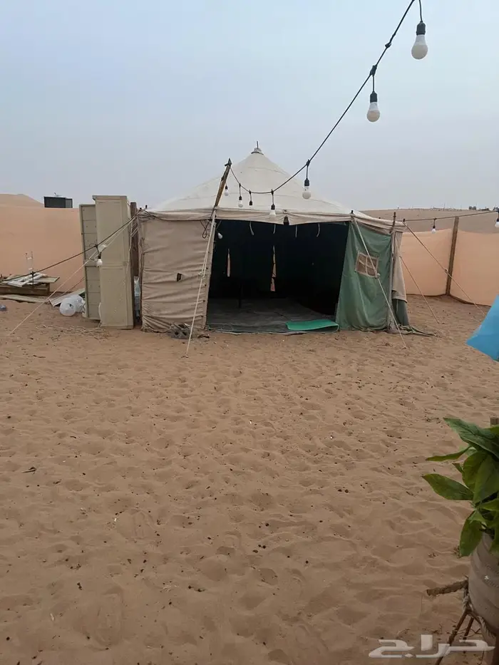 ايجار يومي الكهرباء على طاقه 1