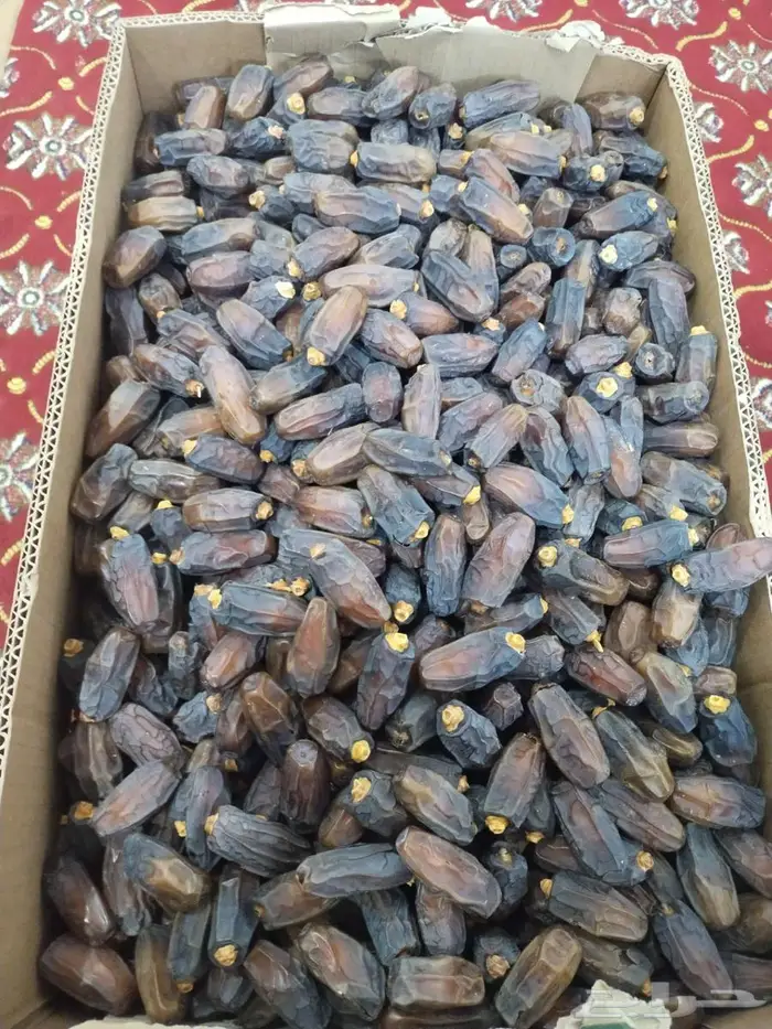 تمر للبيع من المزرعه 0