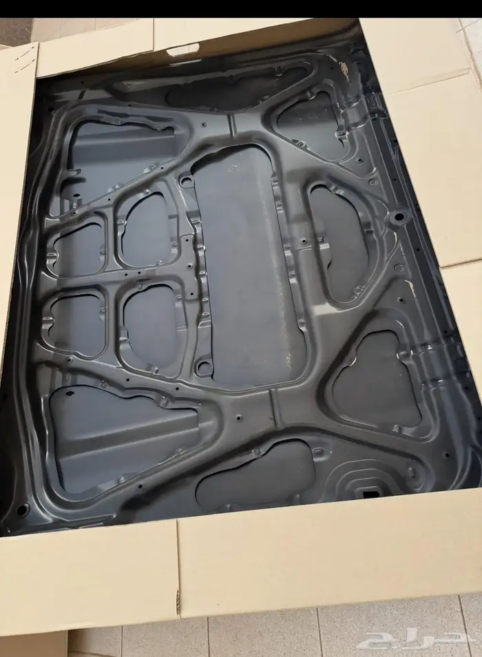 كبوت ربع 2020 1