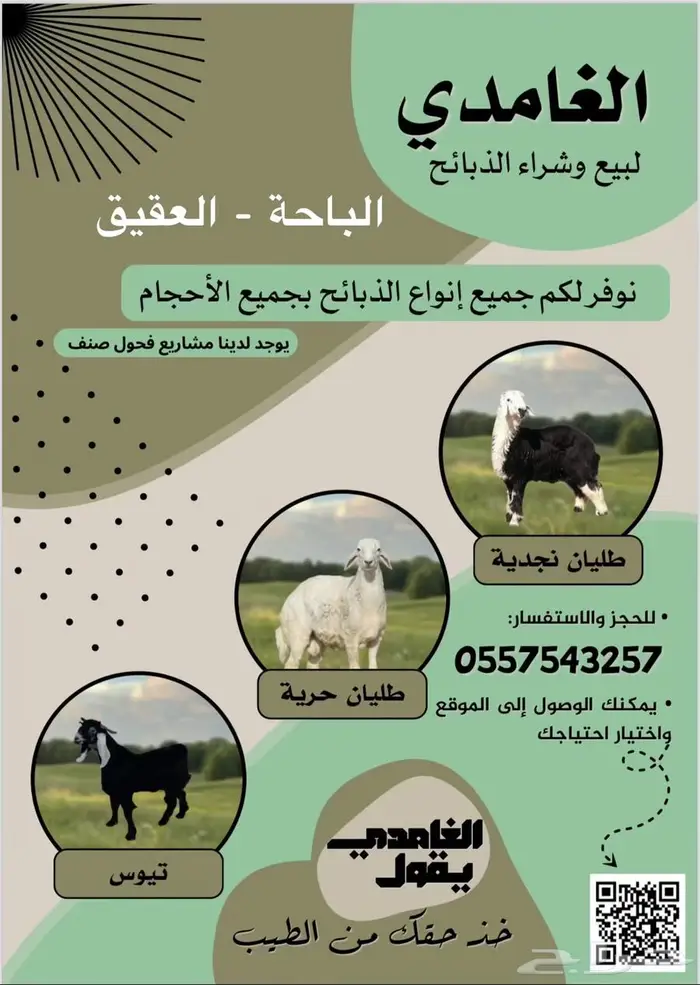 طليان مناسبات 0