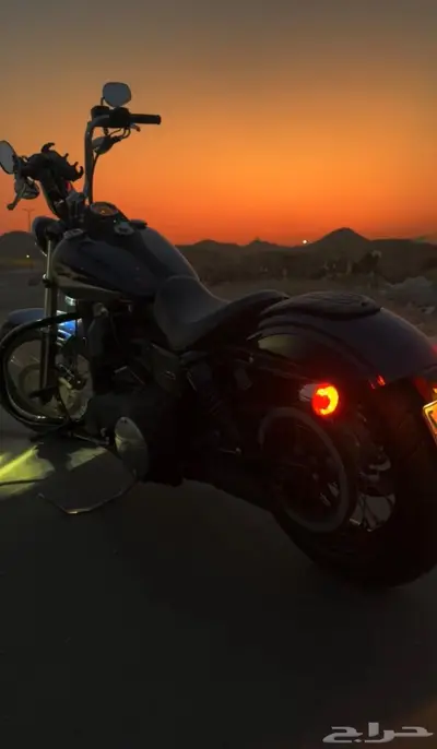 هارلي ستريت بوب index