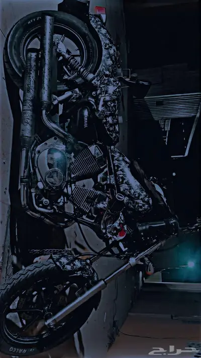 يامها فيقارو index