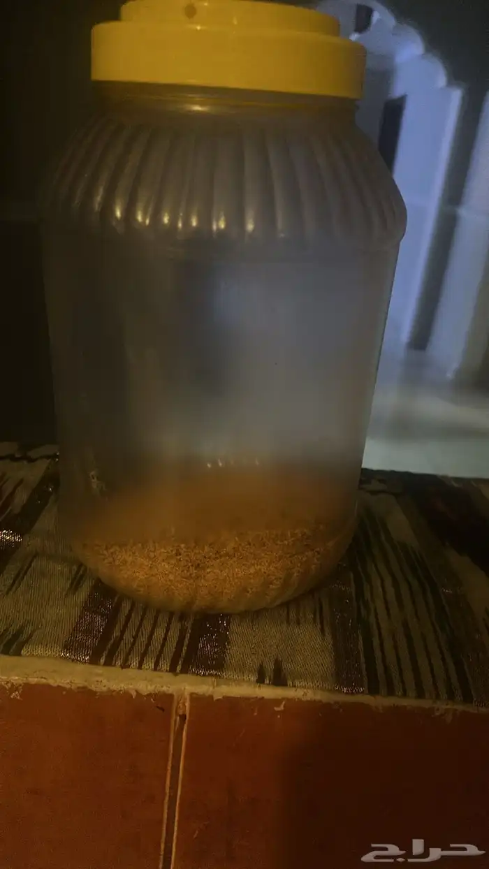 لكزس RX350فل كامل 2020 شاشات خلفيه 15