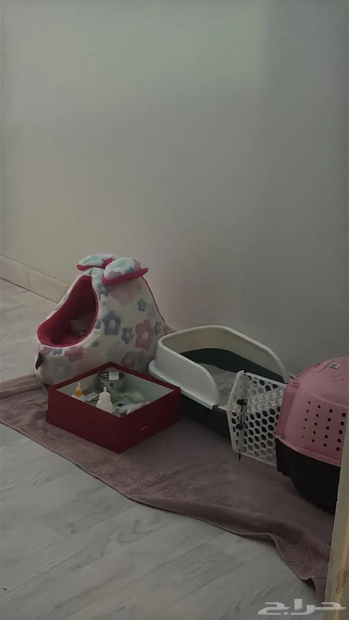 اغراض قطوه 0