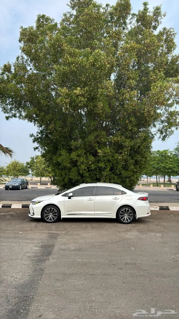 كورلا 2021 نص فل 1