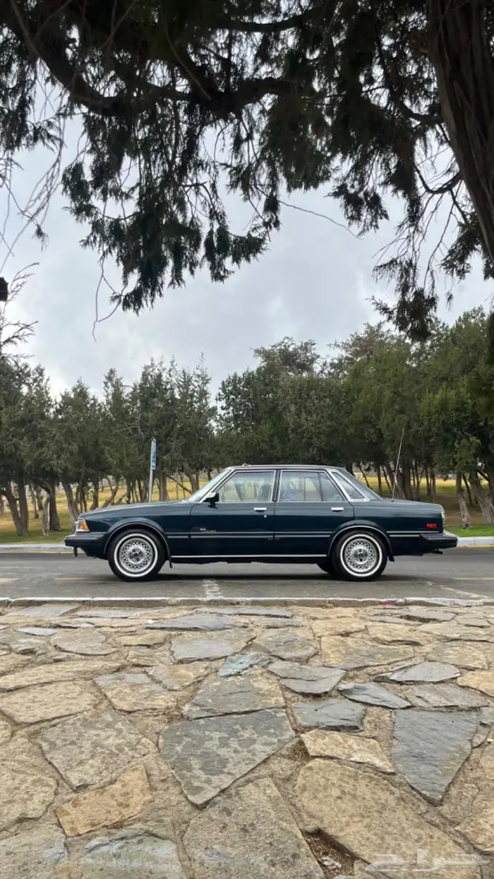 كرسيدا قراندي 84 0