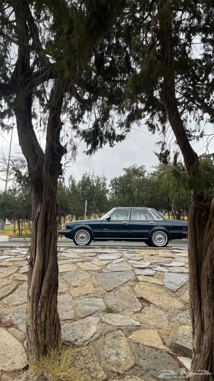 كرسيدا قراندي 84 10