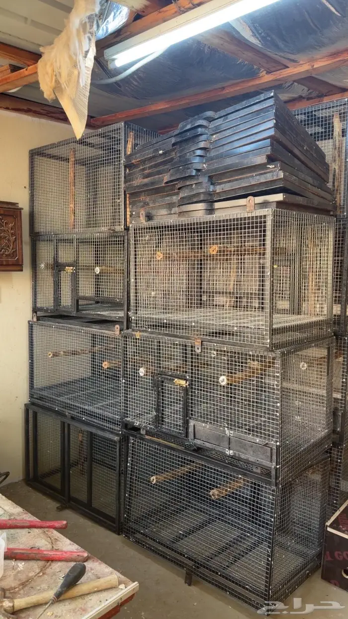 اقفاص انتاج ببغاوات 3