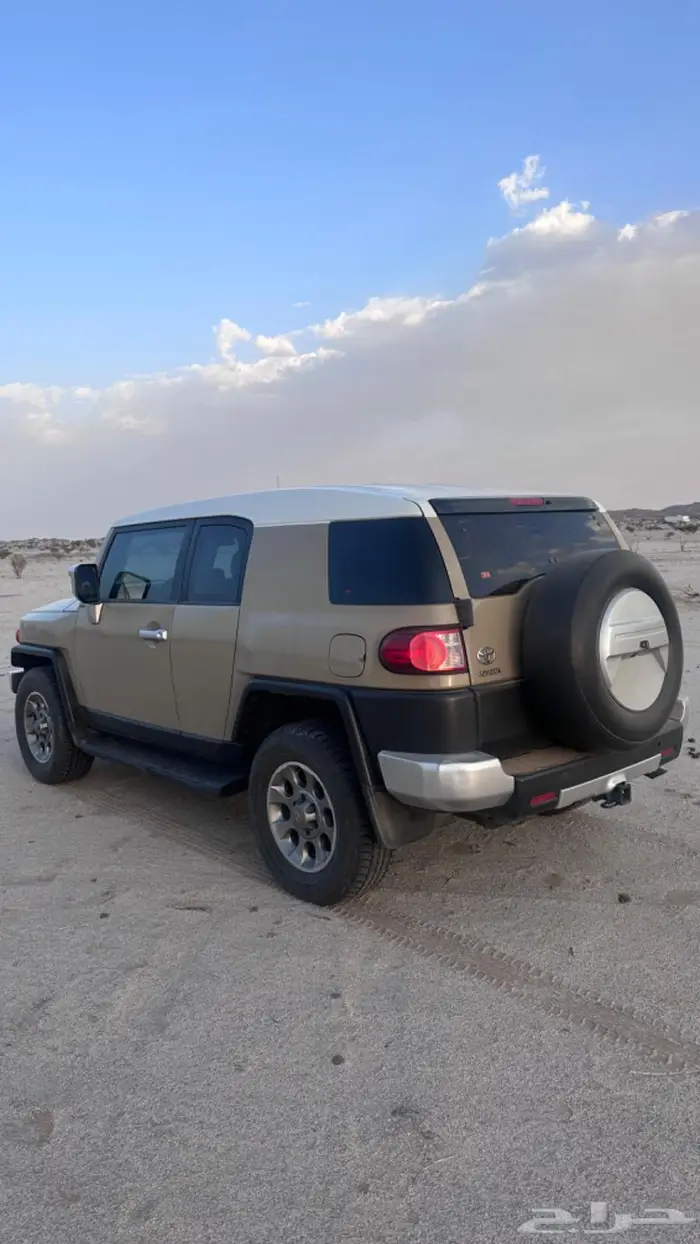 أفي جي فل كامل اللون المميز 0