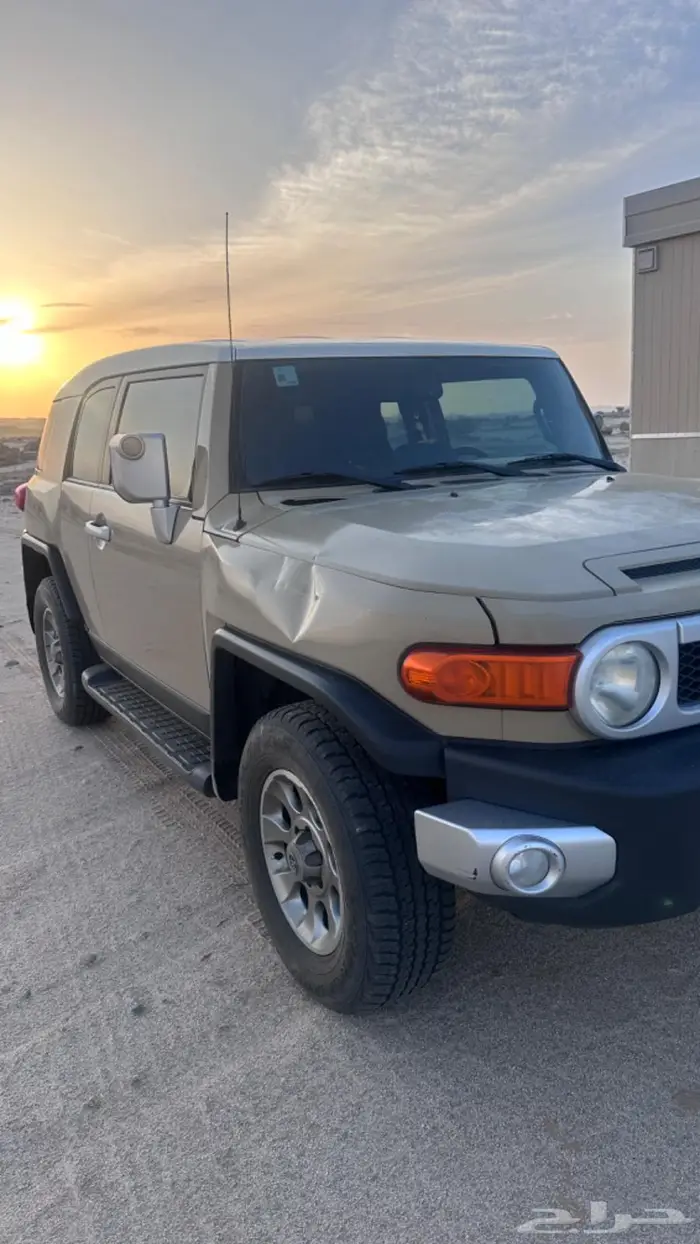 أفي جي فل كامل اللون المميز 2