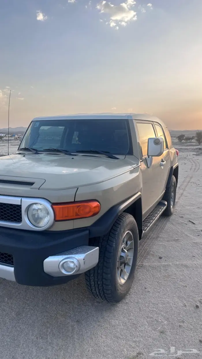 أفي جي فل كامل اللون المميز 3