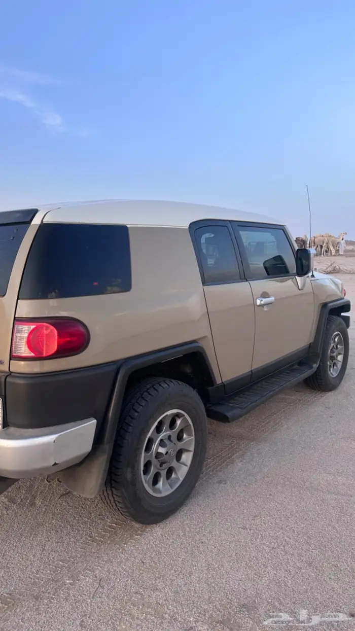 أفي جي فل كامل اللون المميز 1