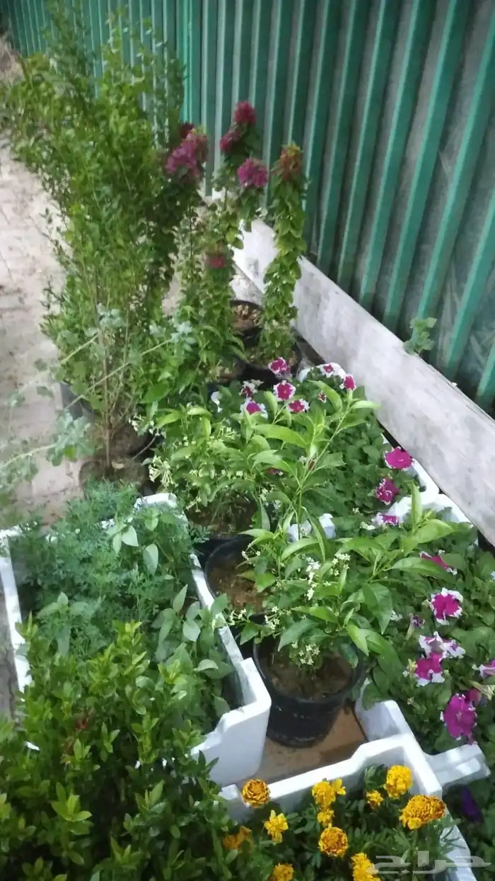 عروض خاصه على تركيب شبكات الري الزراعي 3