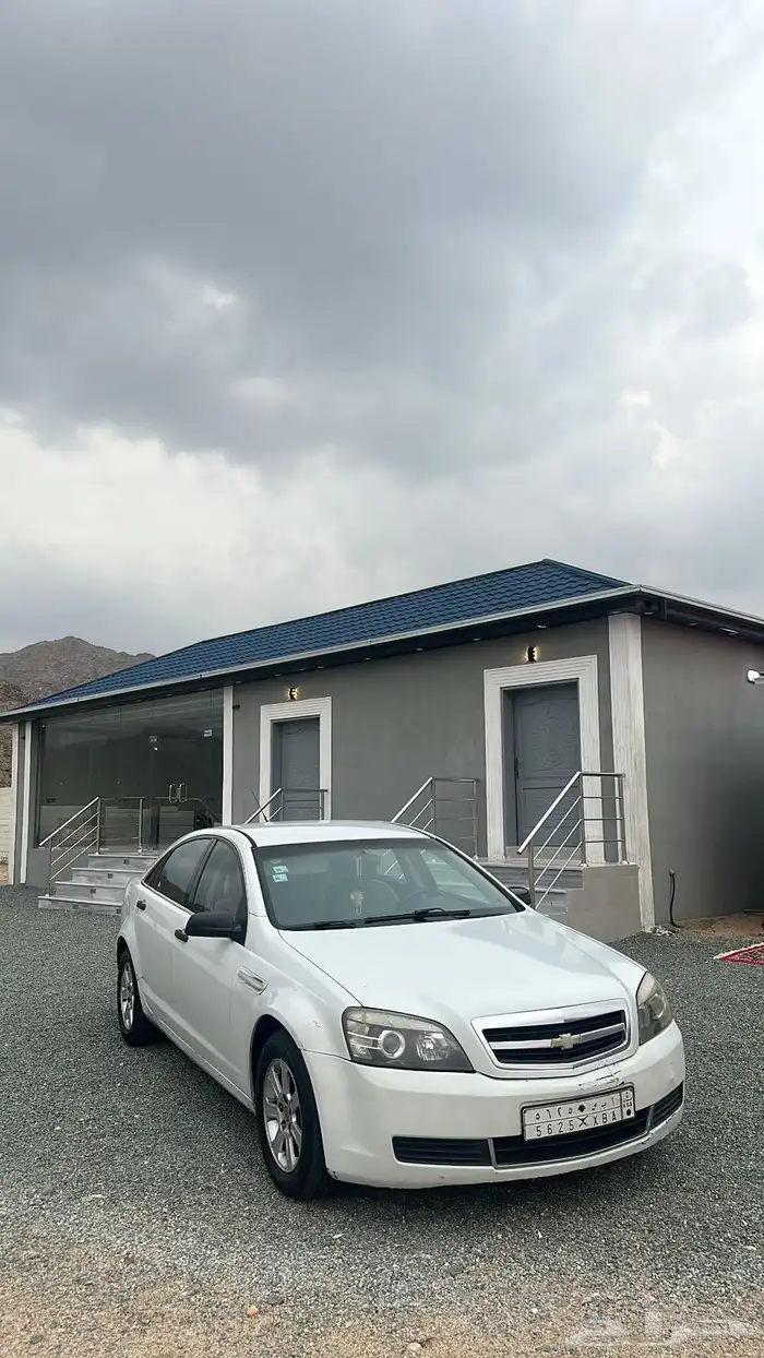 كابرس سته سرندل2008 1