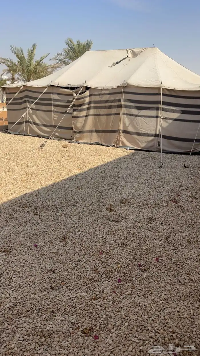 بيت شعر ابيض 3