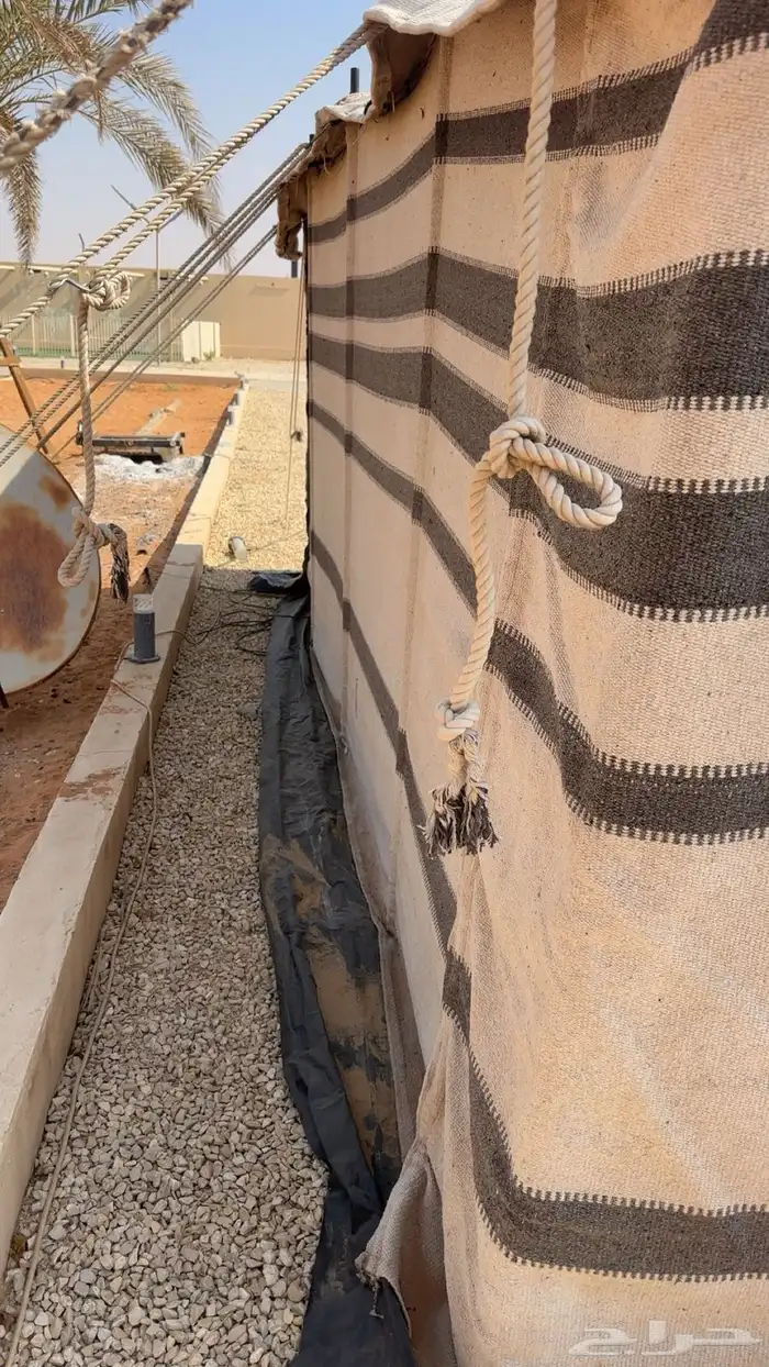 بيت شعر ابيض 2