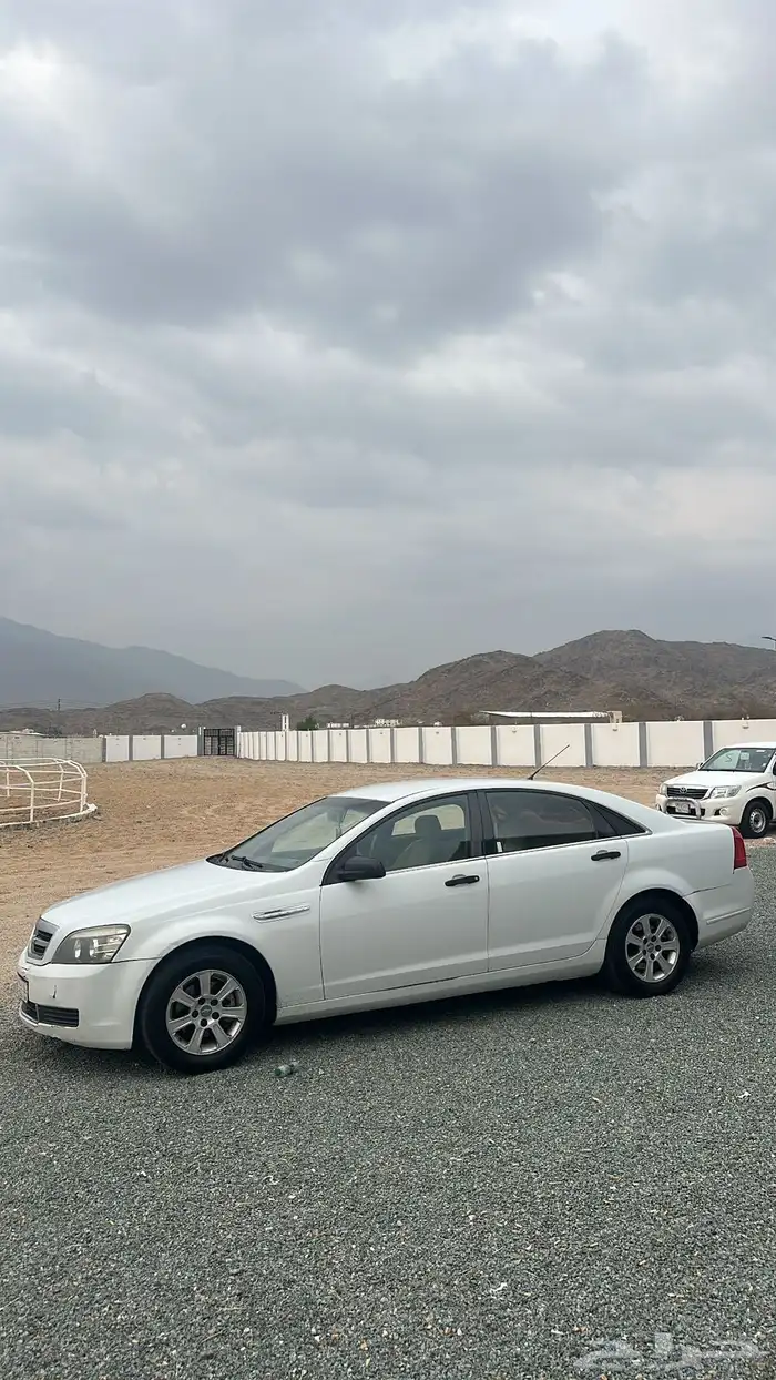 كابرس سته سرندل2008 0