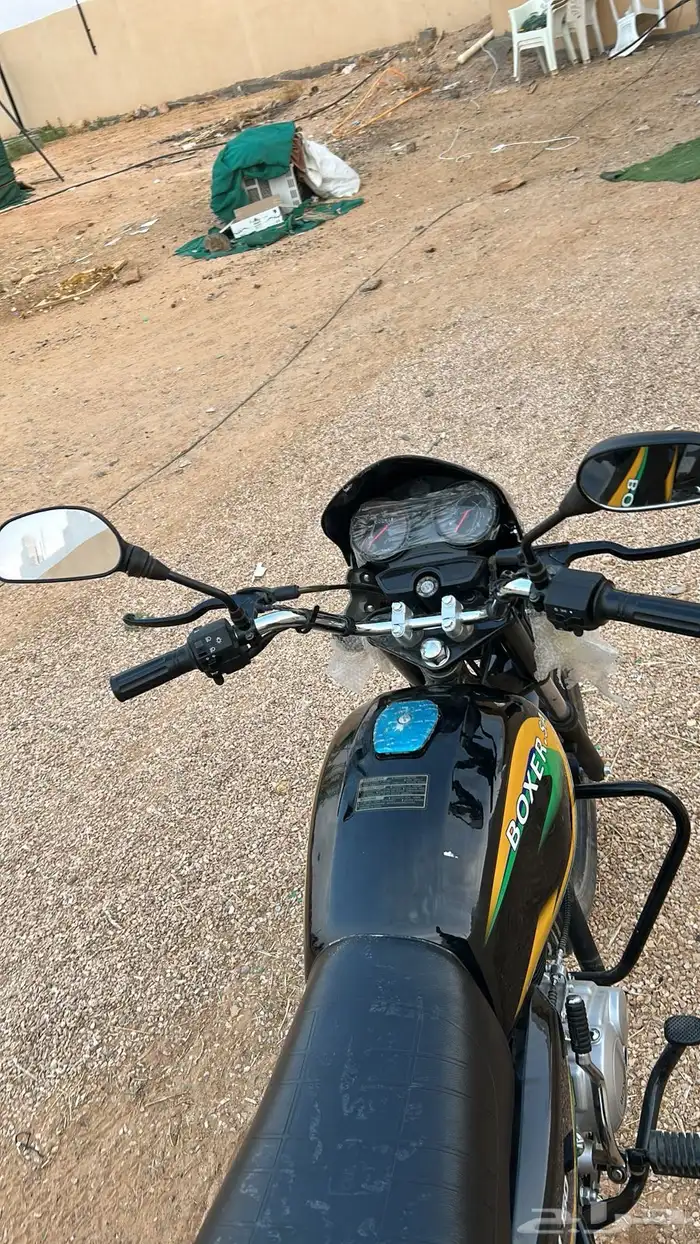 دباب بوكسر 6